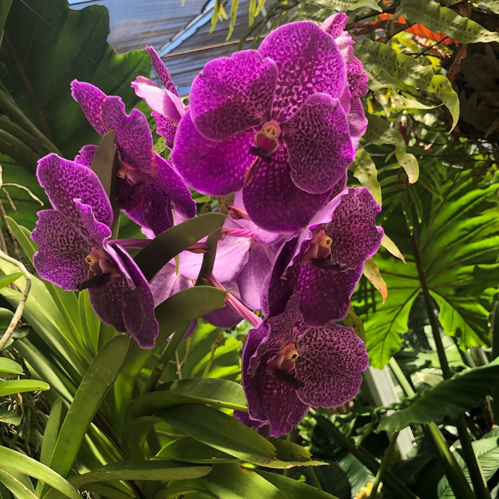 Meet your Posher, Lily